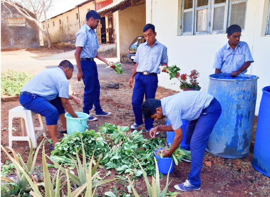 planting